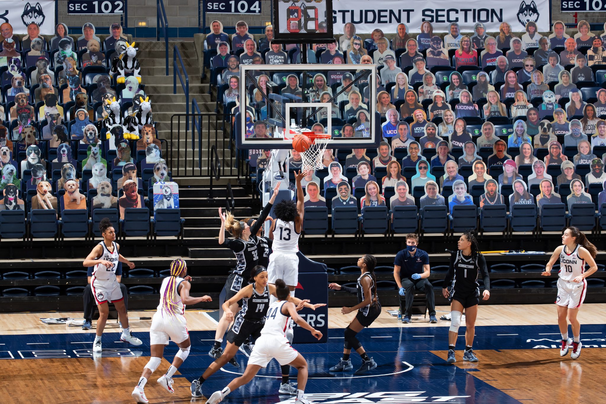 UConn women's basketball team playing during COVID-19 pandemic with cardboard cutouts of people and animals in stands
