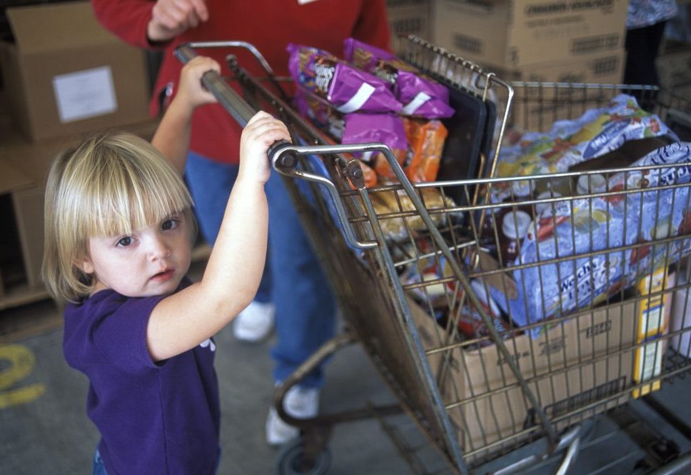 white toddler girl with blonde hair in purple shirt pushing grocery cart