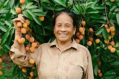 An older adult stands in front of a fruit tree, holding a bunch of fruits. The tree is lush with green leaves and several clusters of fruit.