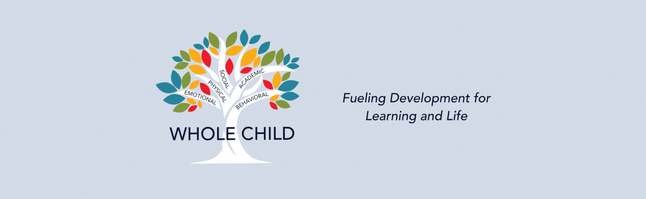 A colorful tree with 5 branches with words on each: emotional, physical, social, academic, behavioral. To the right are the words Whole Child, with Fueling Development for Learning and Life on the bottom.